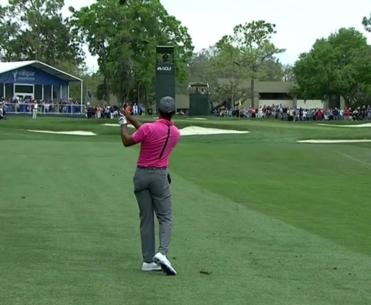 Xnip2018-03-69_20-25-28